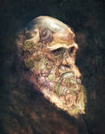 portrait of Charles Darwin by Deevad