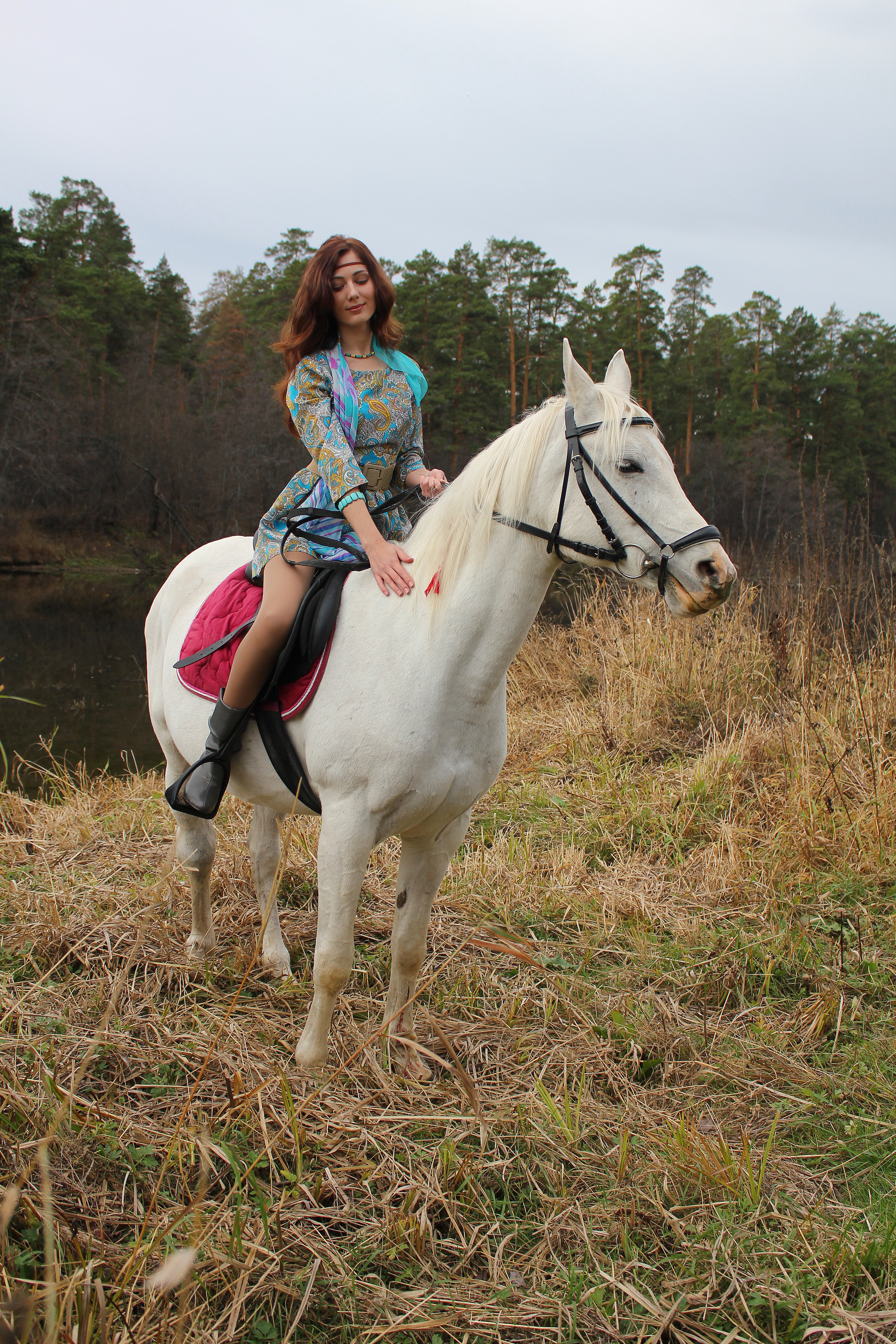 Christina on Arabian horses