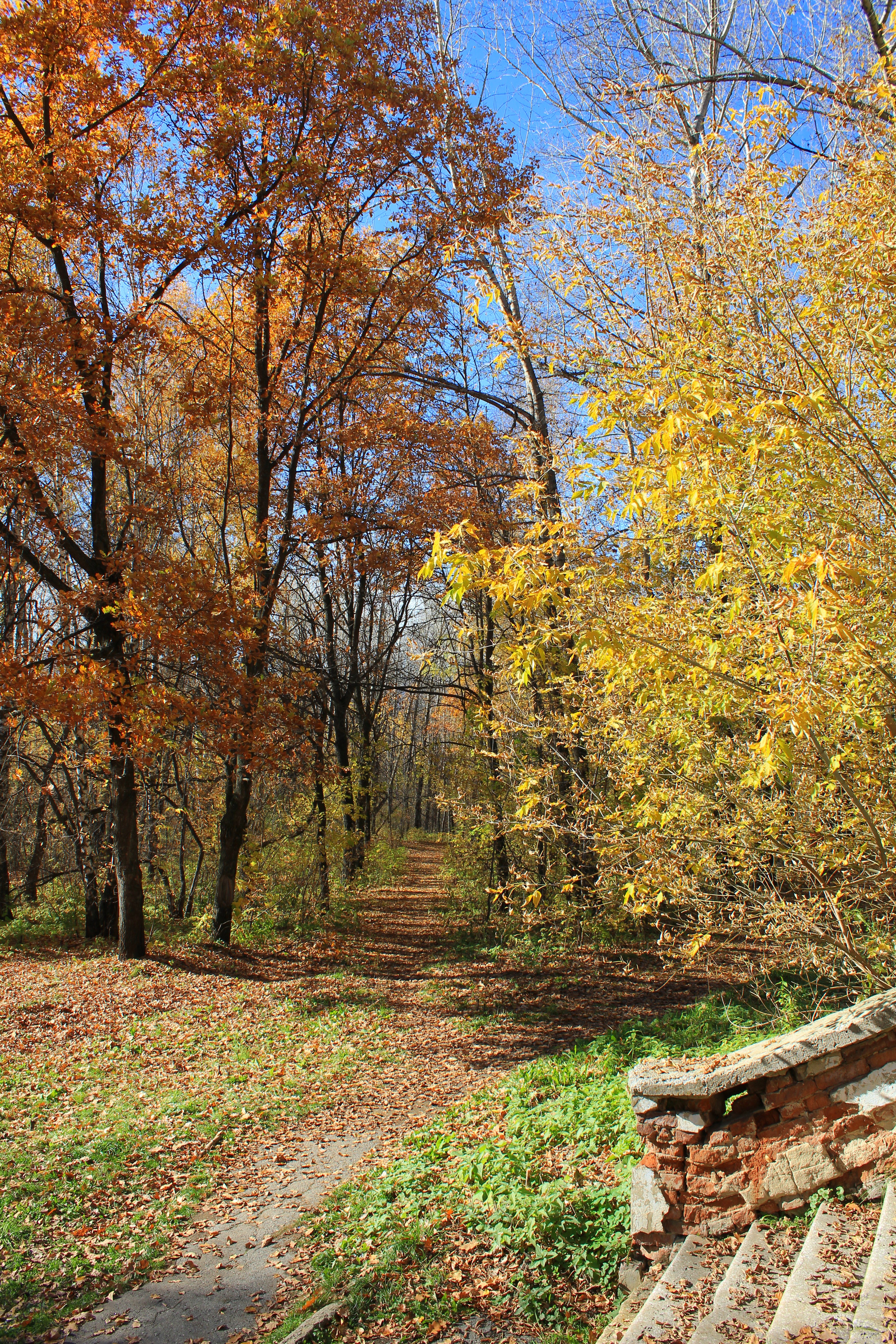 abandoned park