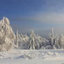 winter fantasmogoriya