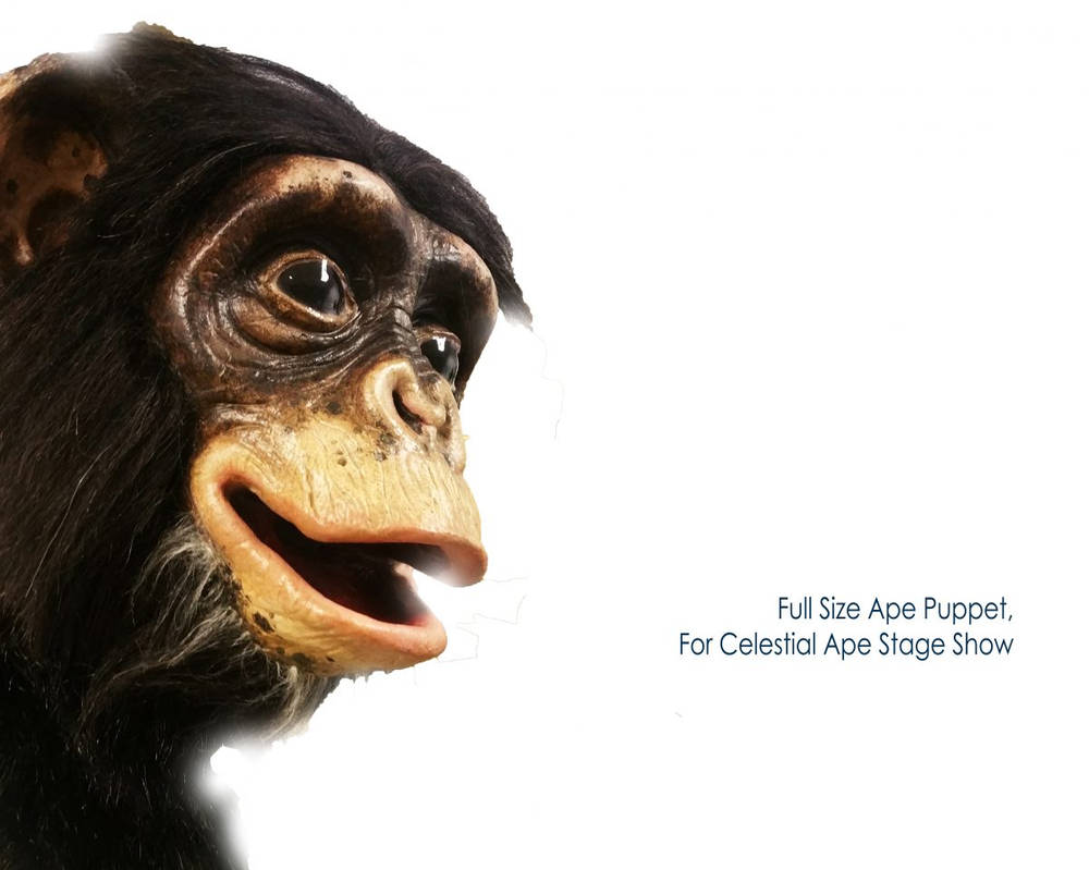 Puppet Abe Ape puppet by Chrissyboyuk on DeviantArt