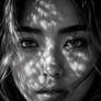 Shadows