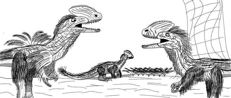 Dueling Dilophosaurus 