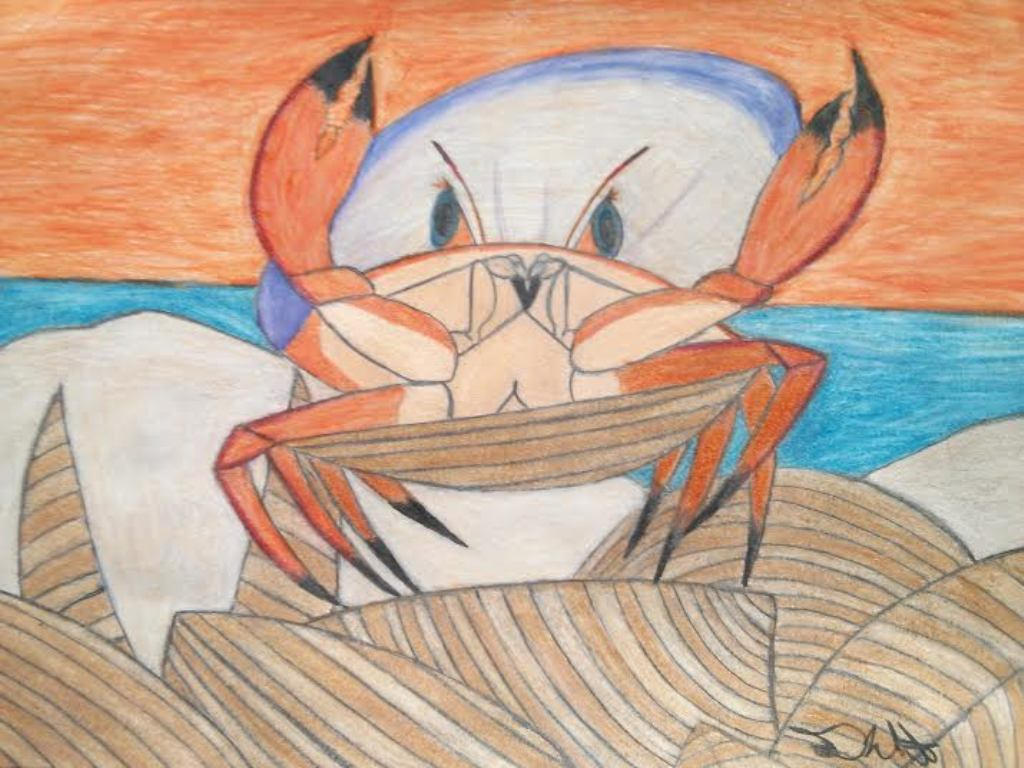 Shell Crab by Lone-Sundowner on DeviantArt