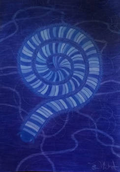 Aqua Millipede