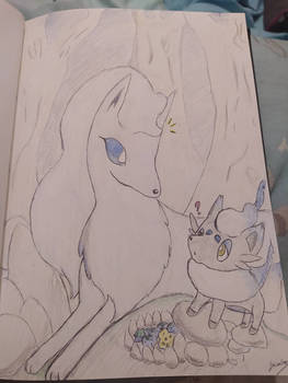 A Alola Ninetales and a Hisui Zorua