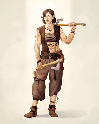 Birke commission 2026v