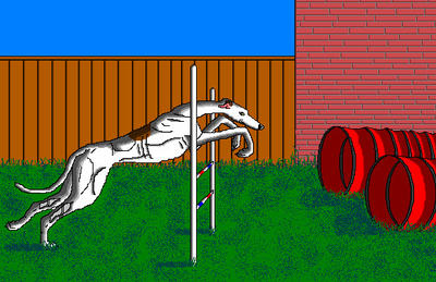 Greyhound Agility in MS Paint