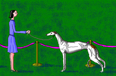 'Dog Show Greyhound' in MS Paint