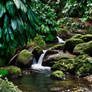 Dominica Creek