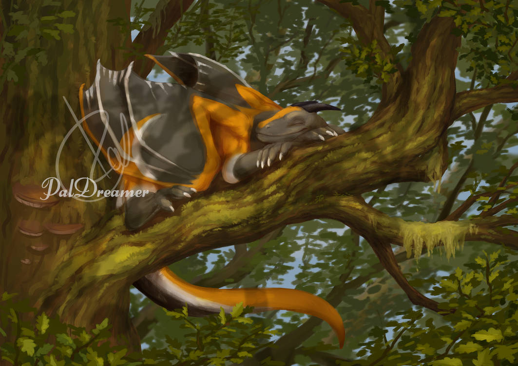 Nap Tree Nap on a tree by PalDreamer on DeviantArt