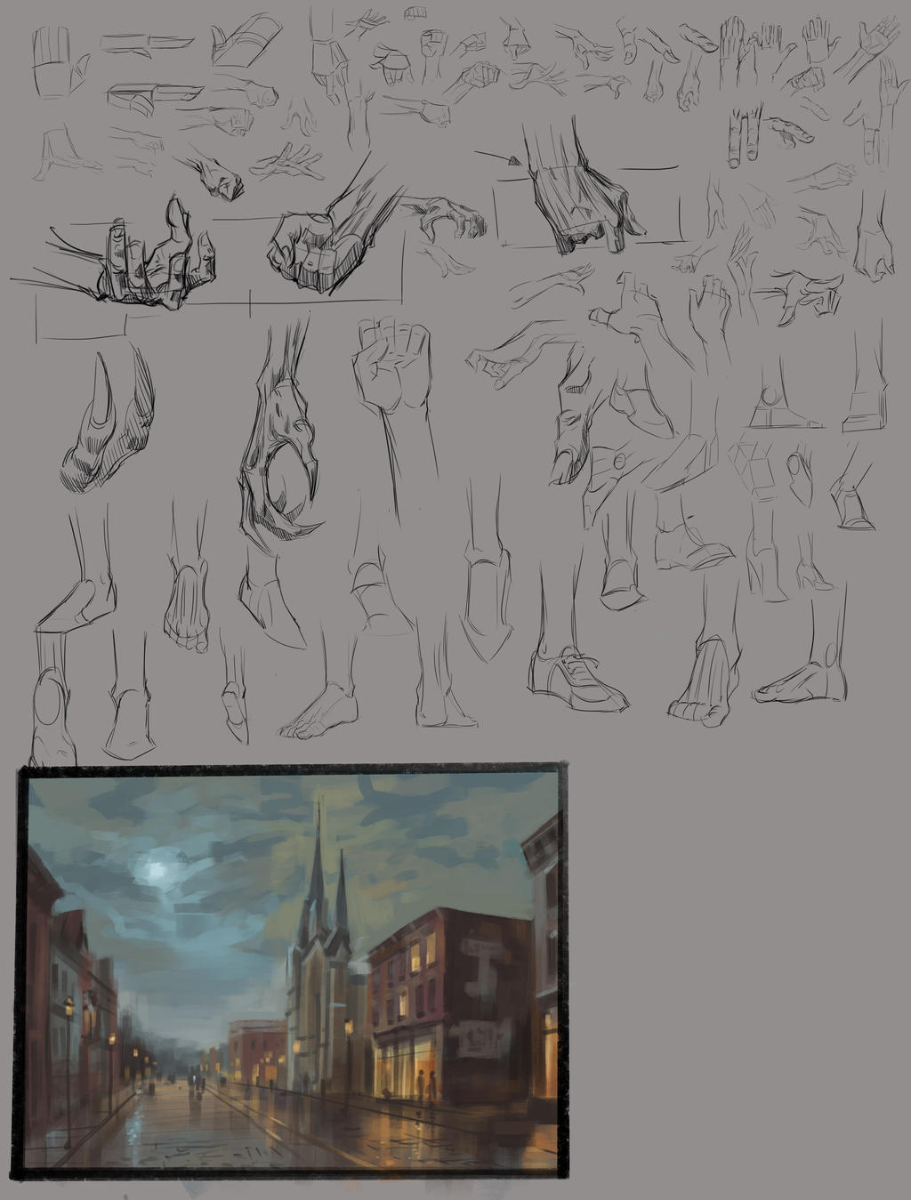 Studies