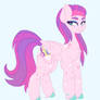 Ponysona Meme- Jyllabelle