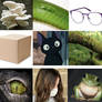 Klepto Mood board :3