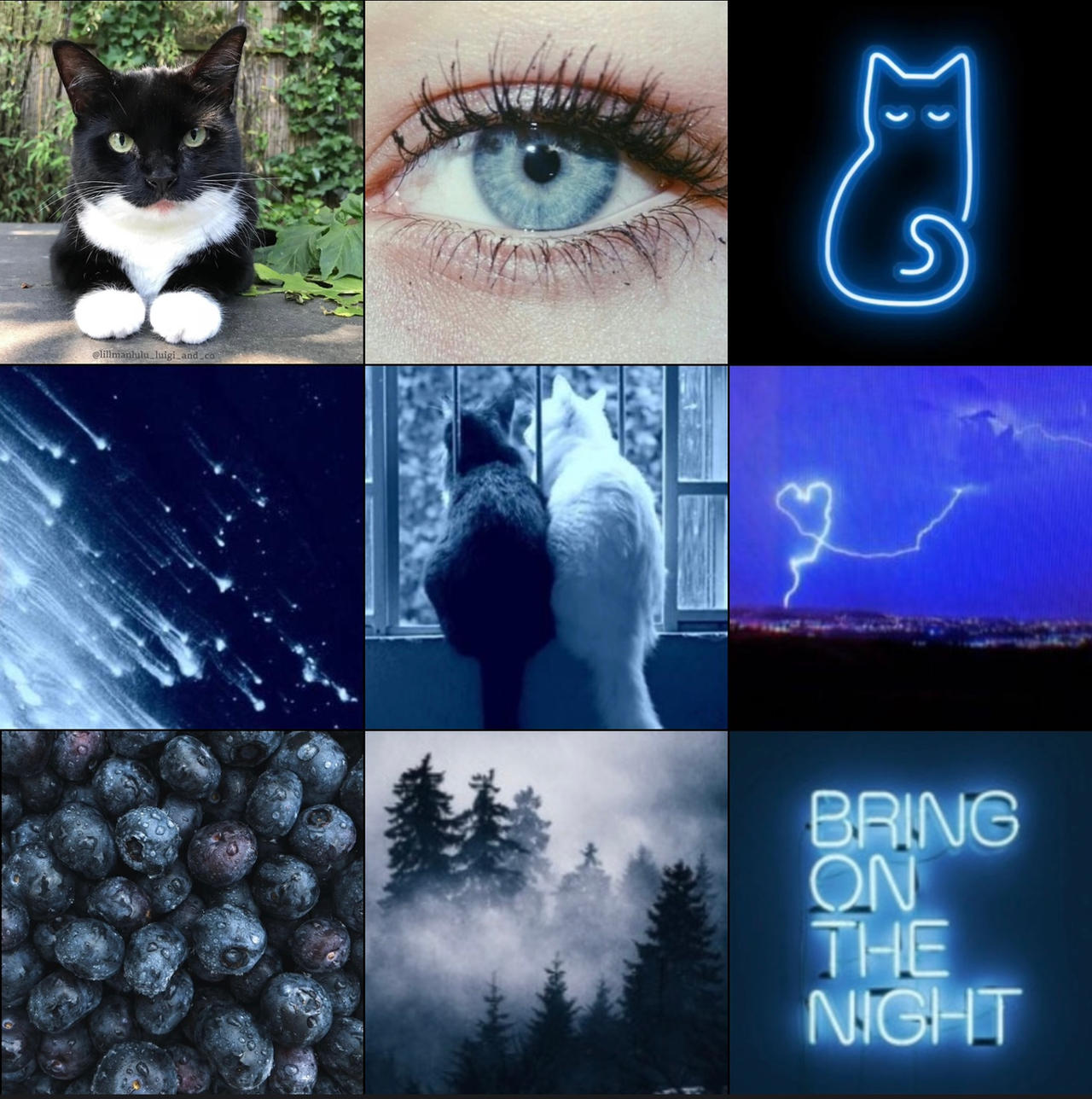 (Not Ftu) moodboard