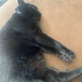 Fatty (my babyyyyyyy)