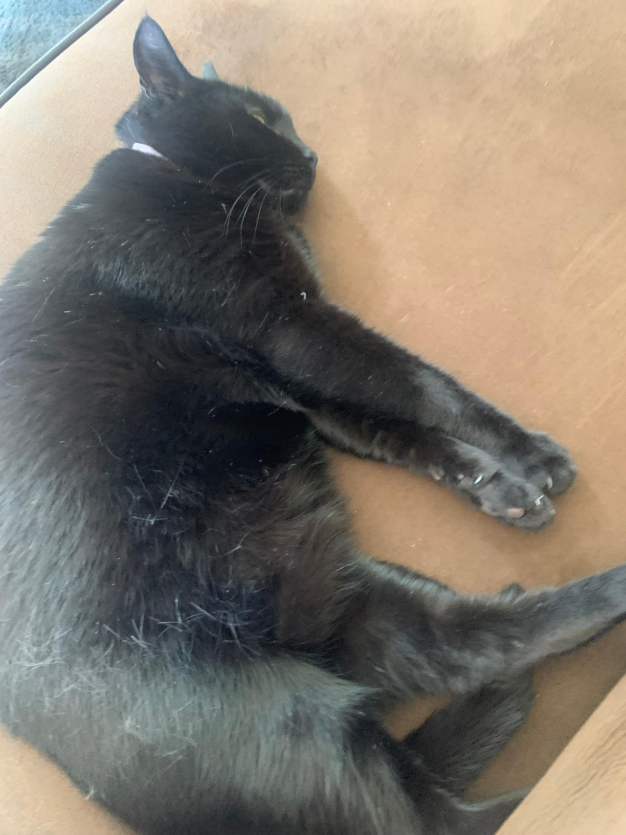 Fatty (my babyyyyyyy)
