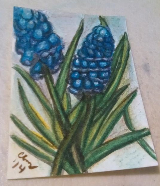 Grape Hyacinth ATC