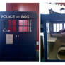 Kitty TARDIS