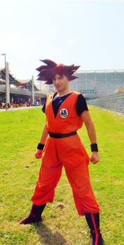 SON GOKU SUPER SAIYAN GOD