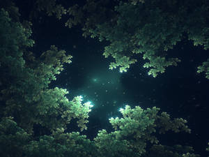 Starlit Canopy