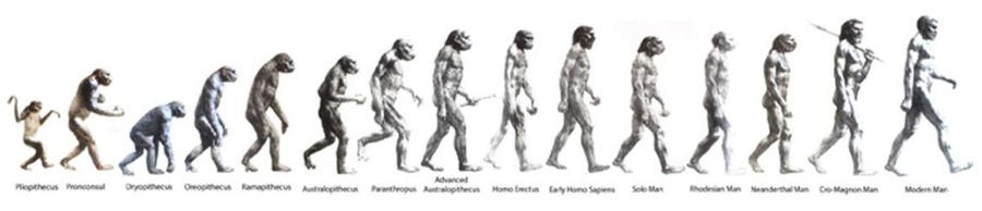 El Homo Sapiens 