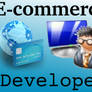 E-Commerce Developer - Leading Ahead The Web World