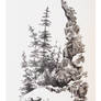 Mountain Side And Trees
