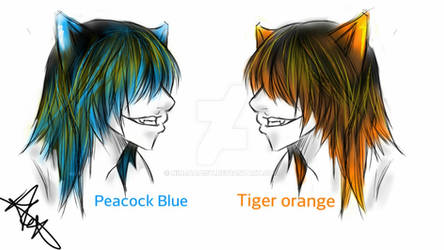 Neko Color Choice