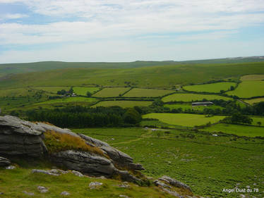 Park Of Dartmoor (7)