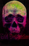 Skull (total deathstruction)