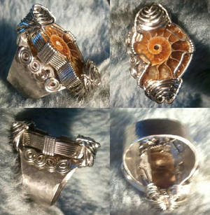 Hand~Made Ammonite Fossil Stainless Steel Ring