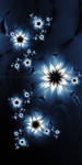 untitled fractals: 4 by moonskulling