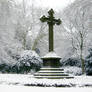 Winter Cross