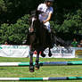 Show Jumping