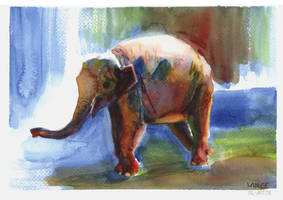 Indian Elephant Watercolour Sketch