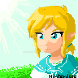 Link - BOTW pixelart