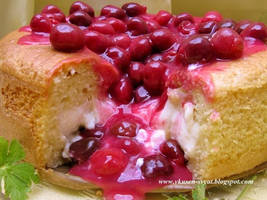 Turkish Cherry Magma Cake