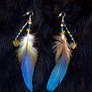 Blue and yellow Macaw feather earrings...