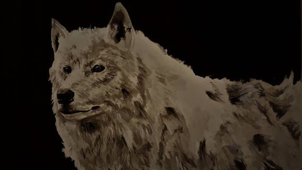 A White Wolf