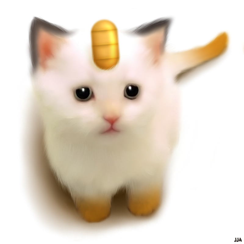 meowth cat｜Búsqueda de TikTok