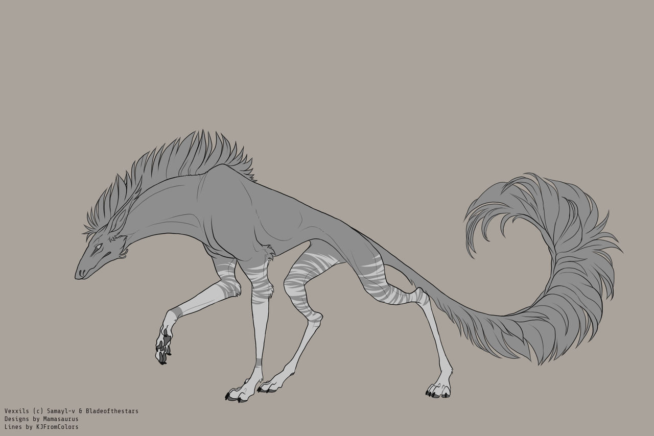 Okapi by Vexxils-admin on DeviantArt