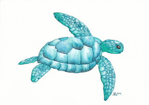 Turquoise turtle