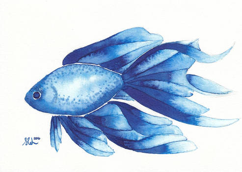 Blue fish