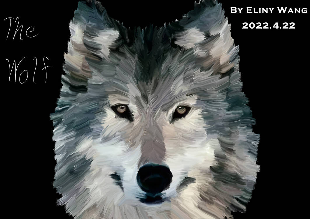 The Wolf by Elinital on DeviantArt