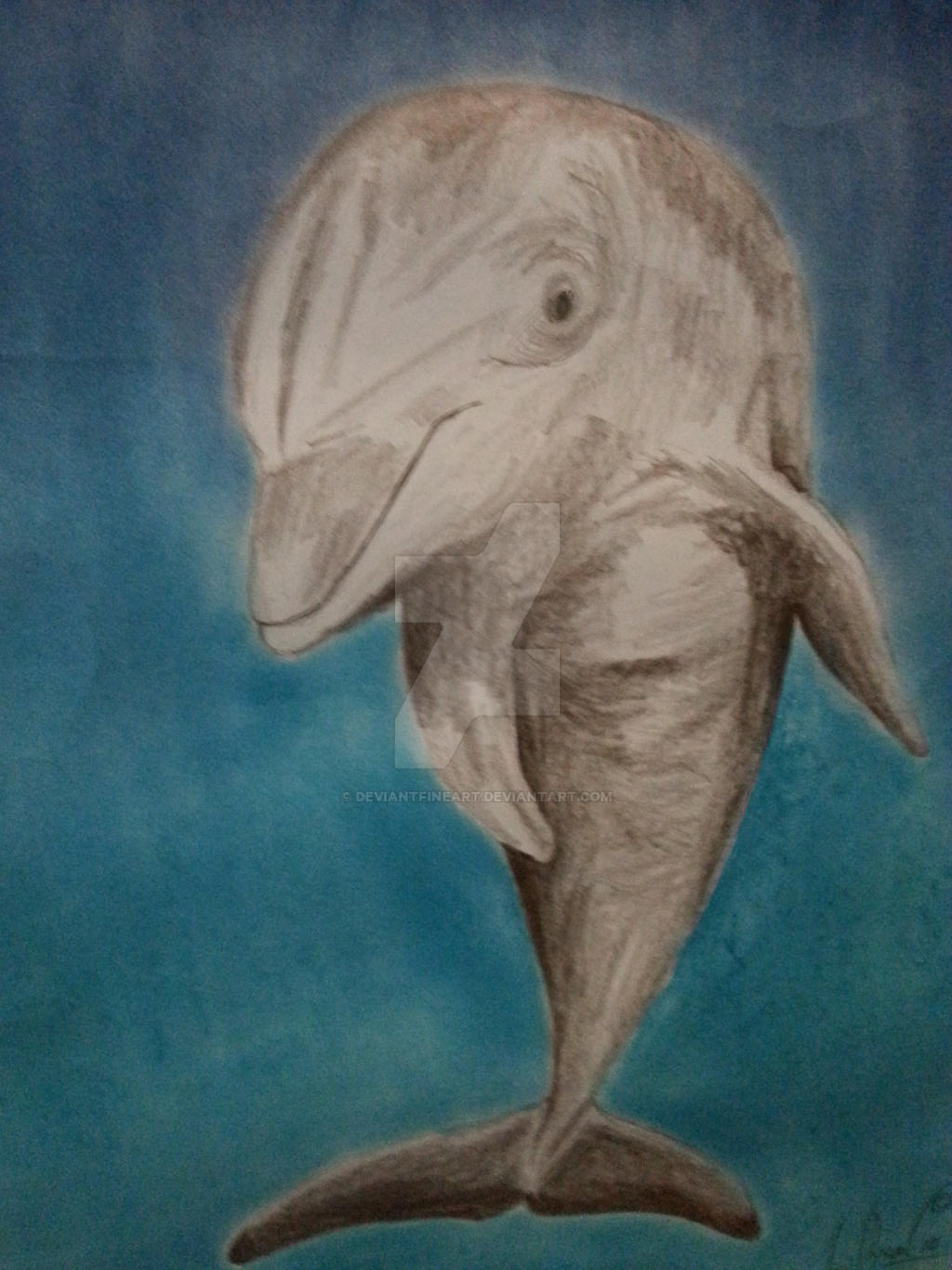 Dolphin