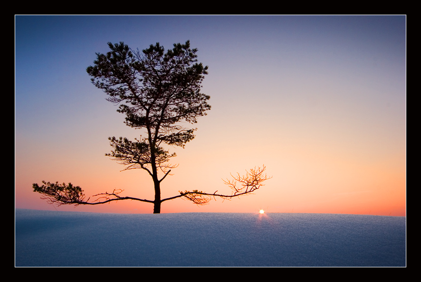 Sunset Meditation