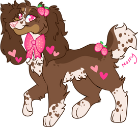 Vday Dog