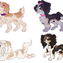 Spaniel Adopts