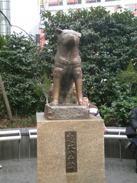 Хатико усмань. Железнодорожная станция Сибуя памятник Хатико. Статуя Хатико в Японии. Статуя собаки Хатико. Статуя Хатико у станции Сибуя.